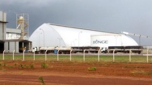 bungeurucui