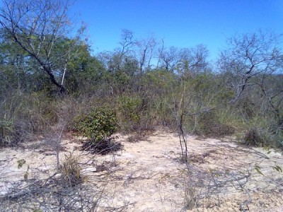 paulogomesprisao2762012b