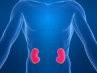 transplantespelosus182012