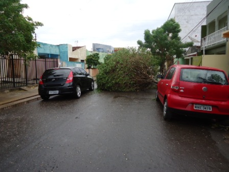 temporalpicos