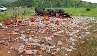 caminhaococacola2242013