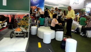 feira tur