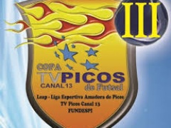 copatvpicos2013