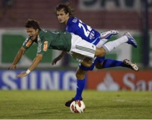 palmeiras732013
